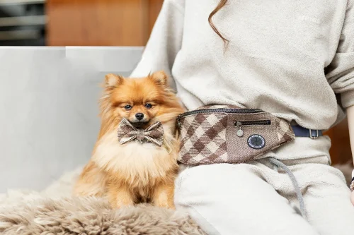 Jak założyć konto